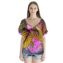 Coleus & Petunia V-neck Flutter Sleeve Top by Riverwoman