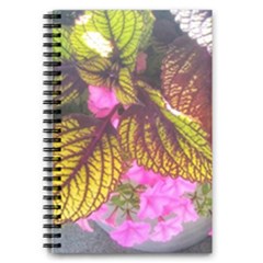 Coleus & Petunia 5 5  X 8 5  Notebook by Riverwoman