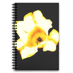Yellow And Orange Tulip 5 5  X 8 5  Notebook by okhismakingart