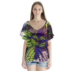 Dark Coleus V-neck Flutter Sleeve Top by Riverwoman
