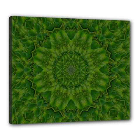 Fauna Nature Ornate Leaf Canvas 24  X 20  (stretched) by pepitasart