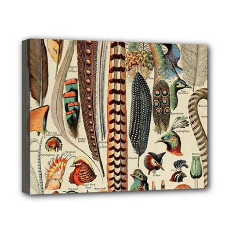 Feathers Birds Vintage Art Canvas 10  X 8  (stretched) by Vaneshart