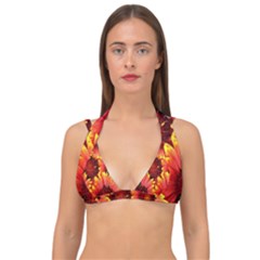 Background 1655938 960 720 Double Strap Halter Bikini Top by vintage2030