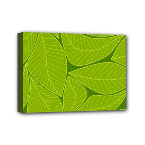 Pattern Leaves Walnut Nature Mini Canvas 7  X 5  (stretched) by Vaneshart