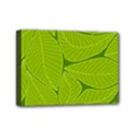 Pattern Leaves Walnut Nature Mini Canvas 7  x 5  (Stretched) View1