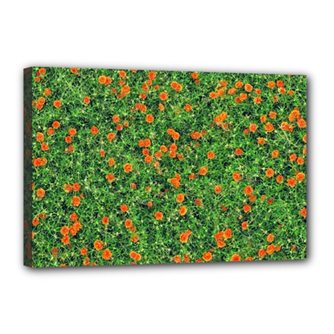 Carnations Flowers Seamless Canvas 18  X 12  (stretched) by Vaneshart