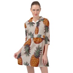 Seamless Pattern With Vector Illustrations Pineapples Mini Skater Shirt Dress by Vaneshart