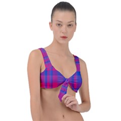 Bisexual Plaid Front Tie Bikini Top by NanaLeonti