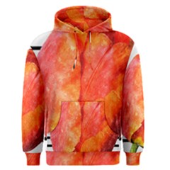 Tulip Watercolor Red And Black Stripes Men s Pullover Hoodie by picsaspassion