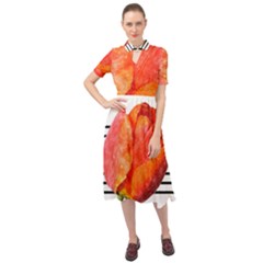 Tulip Watercolor Red And Black Stripes Keyhole Neckline Chiffon Dress by picsaspassion