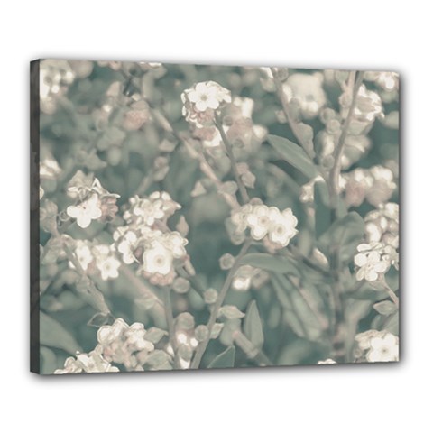 Beauty Floral Scene Photo Canvas 20  X 16  (stretched) by dflcprintsclothing