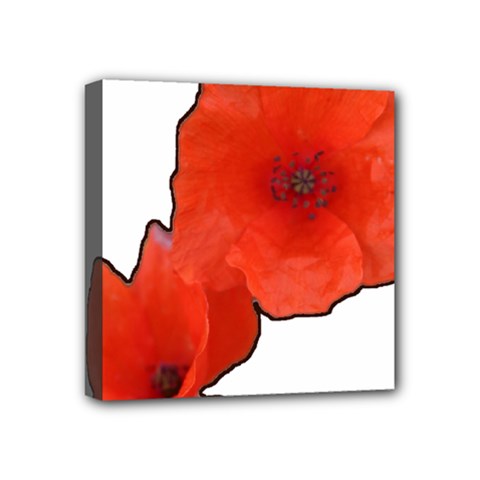 Coquelicots Fleurs Mini Canvas 4  X 4  (stretched) by kcreatif