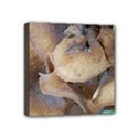 Close Up Mushroom Abstract Mini Canvas 4  x 4  (Stretched) View1