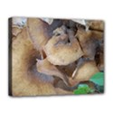 Close Up Mushroom Abstract Canvas 14  x 11  (Stretched) View1