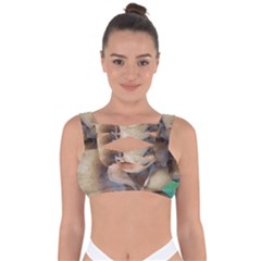 Close Up Mushroom Abstract Bandaged Up Bikini Top by Fractalsandkaleidoscopes