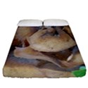 Close Up Mushroom Abstract Fitted Sheet (California King Size) View1
