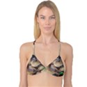 Close Up Mushroom Abstract Reversible Tri Bikini Top View3