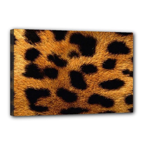 Leopard Skin Pattern Background Canvas 18  X 12  (stretched) by Vaneshart