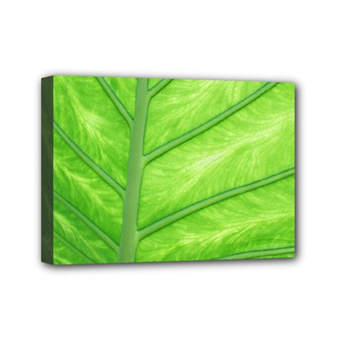 Green Bright Digital Manipulation Mini Canvas 7  X 5  (stretched) by Vaneshart