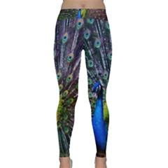 Peacock Colors Bird Colorful Classic Yoga Leggings by Vaneshart