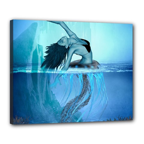 Wonderful Jellyfish Women Canvas 20  X 16  (stretched) by FantasyWorld7