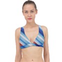 Violet Orange Classic Banded Bikini Top View1