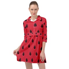 Seamless Watermelon Surface Texture Mini Skater Shirt Dress by Vaneshart