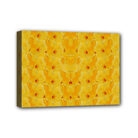Blossoms  So Free In Freedom Mini Canvas 7  X 5  (stretched) by pepitasart
