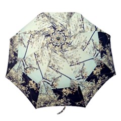 Plum Blossoms Folding Umbrellas by okhismakingart