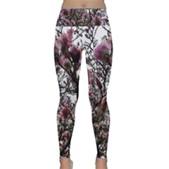 Saucer Magnolia Tree Ii Lightweight Velour Classic Yoga Leggings by okhismakingart