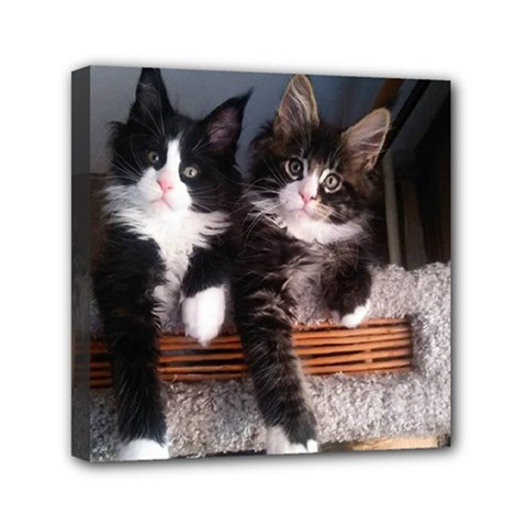 Cats Brothers Mini Canvas 6  X 6  (stretched) by Sparkle