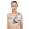 Laughing Kitten Spliced Up Bikini Top  View1