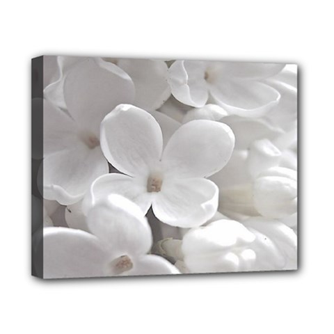 White Floral Canvas 10  X 8  (stretched) by Sparkle
