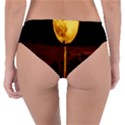 Moon Road Reversible Classic Bikini Bottoms View2