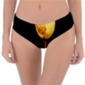 Moon Road Reversible Classic Bikini Bottoms View3
