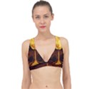 Moon Road Classic Banded Bikini Top View1