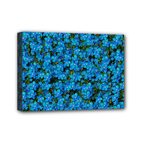 Blue Sakura Forest  Tree So Meditative And Calm Mini Canvas 7  X 5  (stretched) by pepitasart