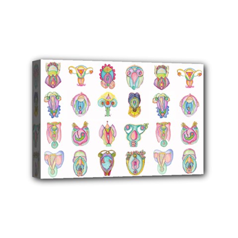 Female Reproductive System  Mini Canvas 6  X 4  (stretched) by ArtByAng