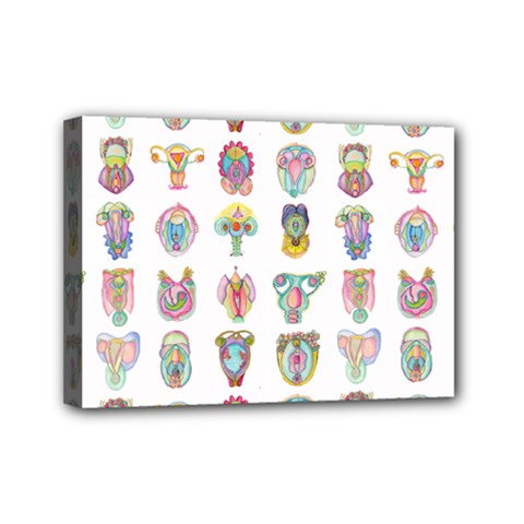 Female Reproductive System  Mini Canvas 7  X 5  (stretched) by ArtByAng