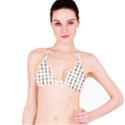 Female Reproductive System  Bikini Top View1