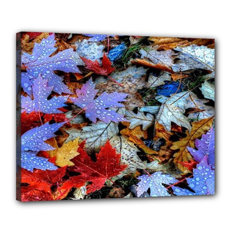 Rainbow Season Canvas 20  X 16  (stretched) by Sparkle