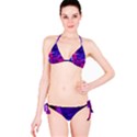 Fractal Flash Classic Bikini Set View3