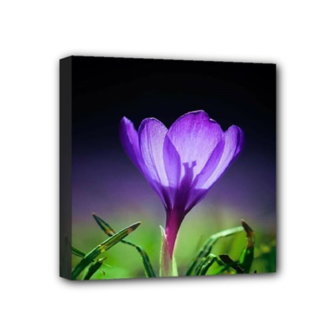 Flower Mini Canvas 4  X 4  (stretched) by Sparkle