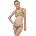 Americana 2 The Little Details Bikini Set View1