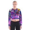 Rainbow Painting Pattern 2 Cropped Sweatshirt View1