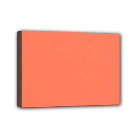 Appreciating Apricot Mini Canvas 7  X 5  (stretched) by Janetaudreywilson