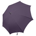 Grape Compote Purple Color Hook Handle Umbrellas (Small) View2