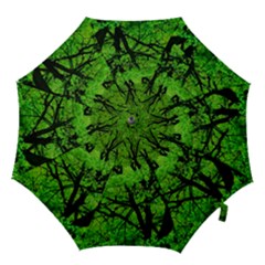 Big Trees, El Leoncito National Park, San Juan, Argentina Hook Handle Umbrellas (small) by dflcprintsclothing