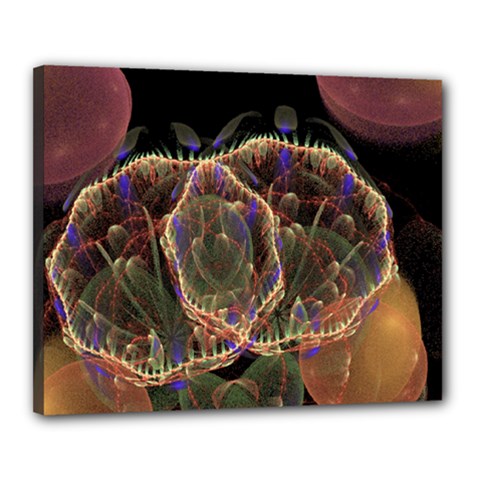 Fractal Geometry Canvas 20  X 16  (stretched) by Sparkle