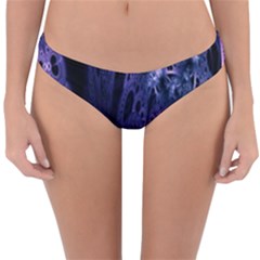 Fractal Web Reversible Hipster Bikini Bottoms by Sparkle